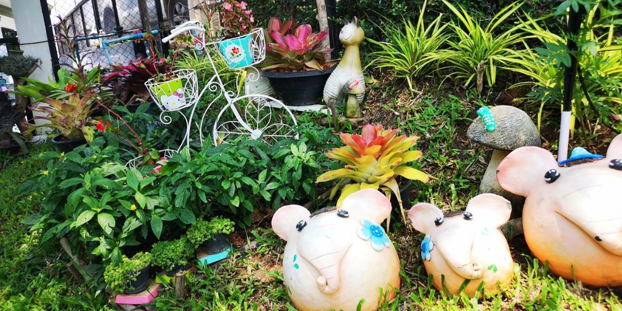 บ้านปลายฝัน Baanplaifun Ban Huai Phai エクステリア 写真